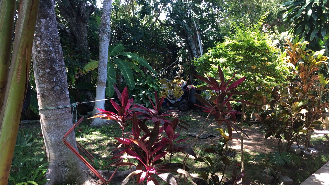 Photo of Outdoor in Bosque de Geriba