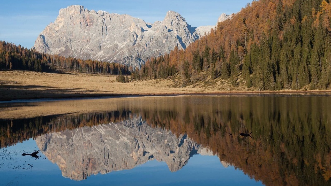 Photo of Others in Transacqua