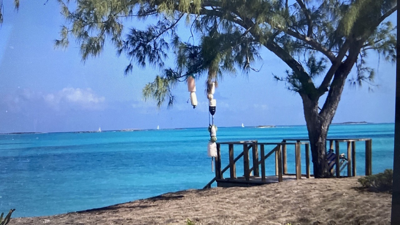 Photo of Others in Tar Bay