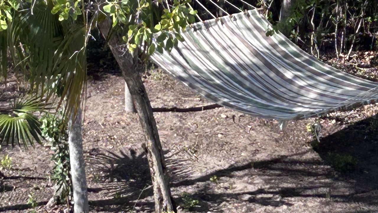 Photo of Outdoor in Tar Bay