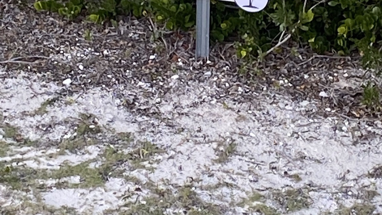 Photo of Others in Tar Bay
