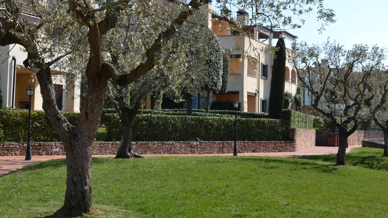 Photo of Outdoor in San Benedetto di Lugana