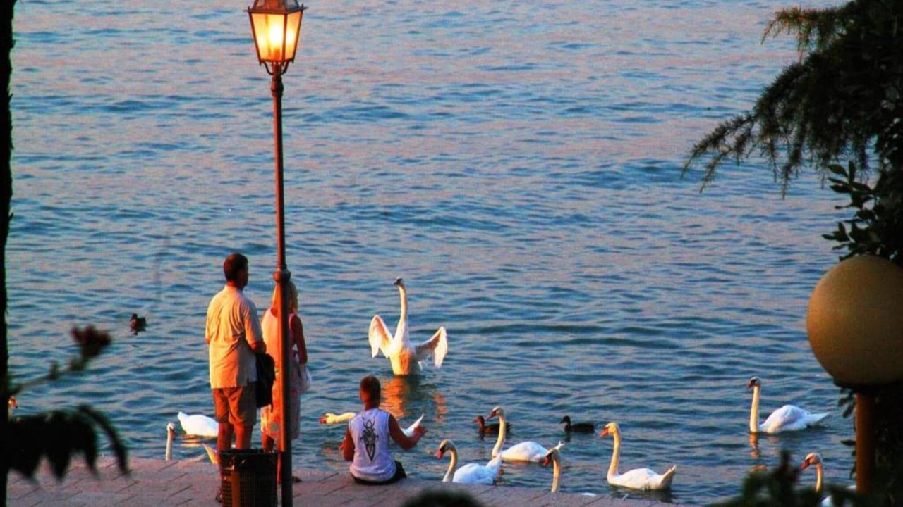 Photo of Others in San Benedetto di Lugana