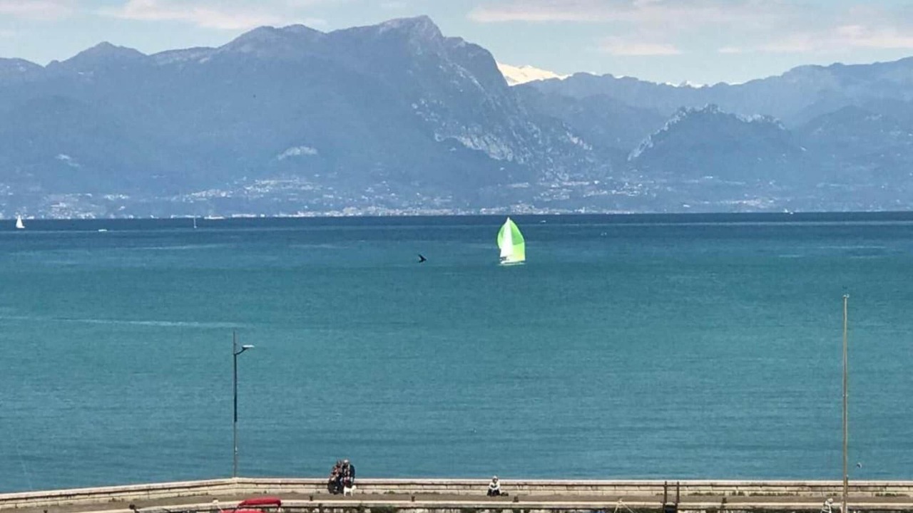 Photo of Others in San Benedetto di Lugana