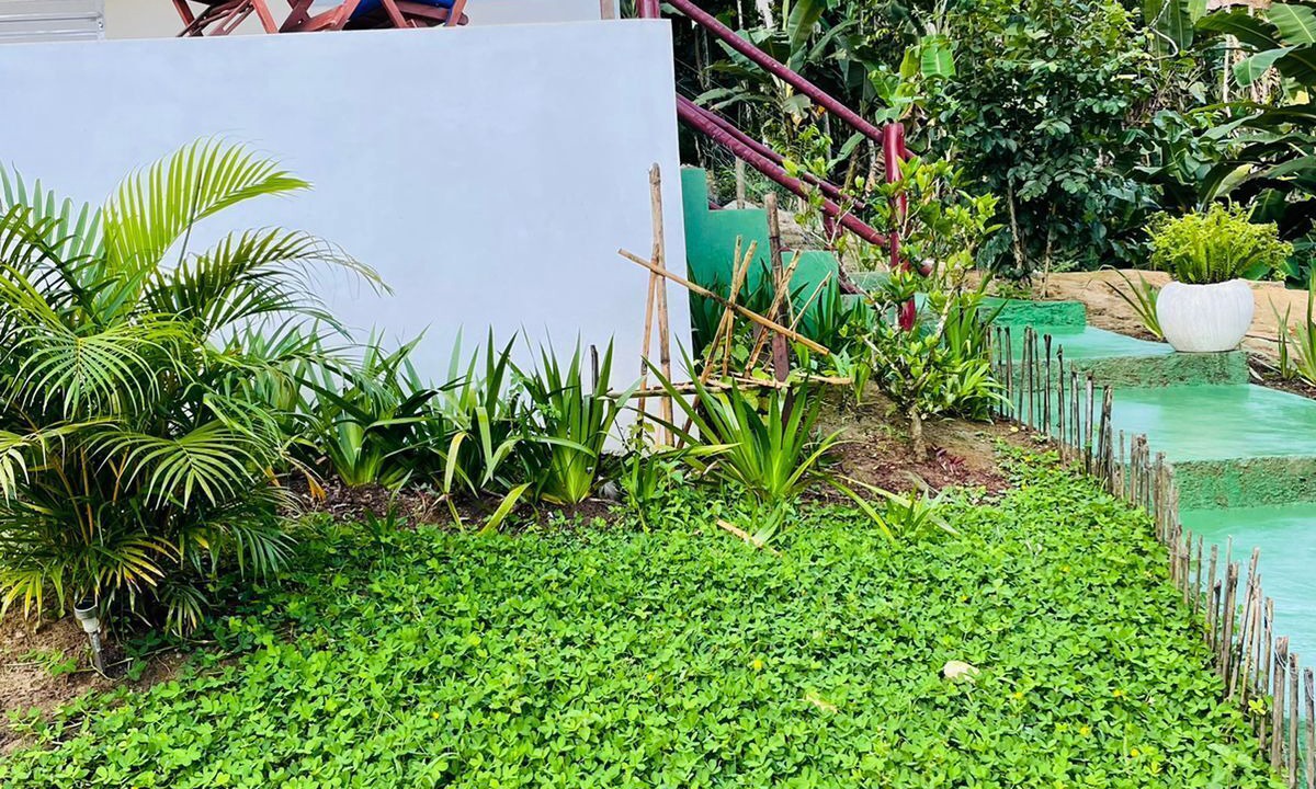 Photo of Outdoor in Barra Grande