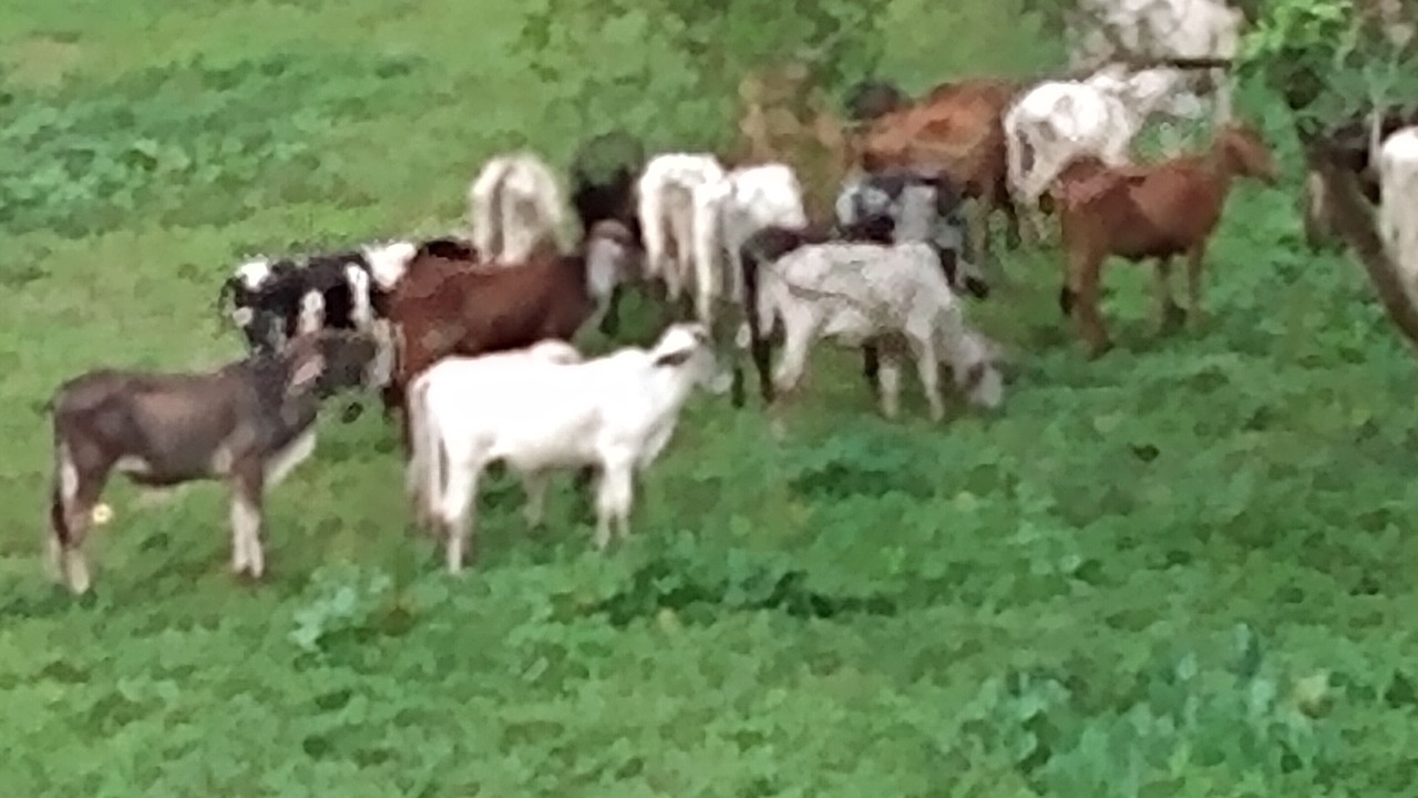Photo of Outdoor in Resende