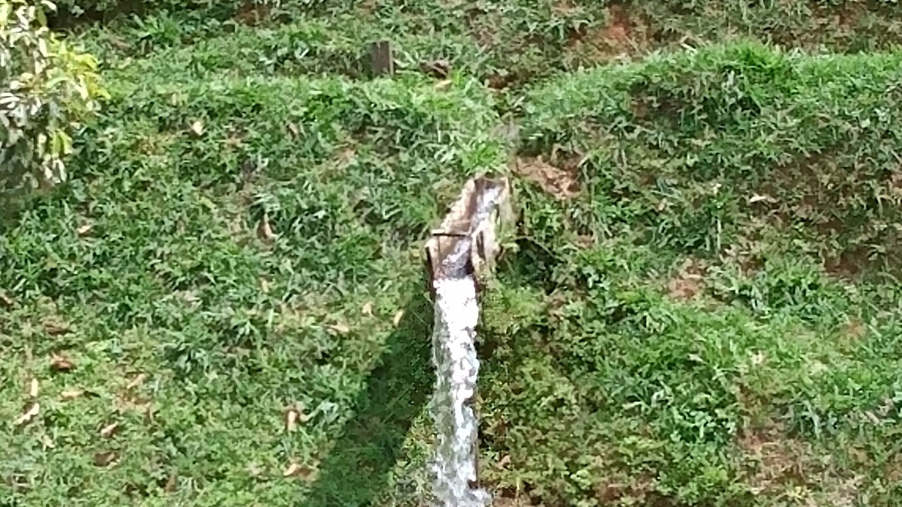 Photo of Outdoor in Resende