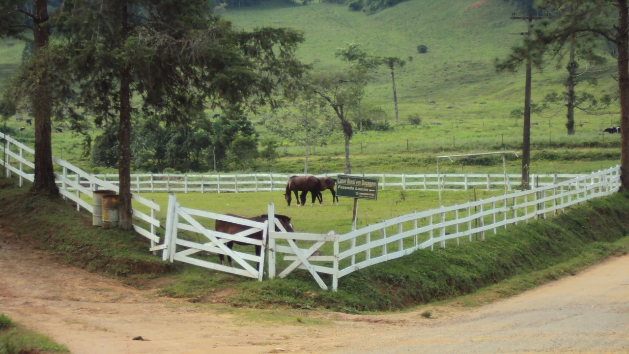 Photo of Outdoor in Resende