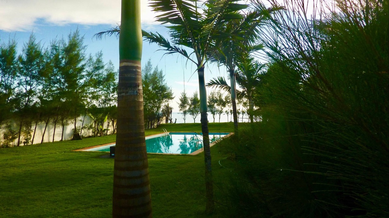 Photo of Outdoor in Praia Rasa