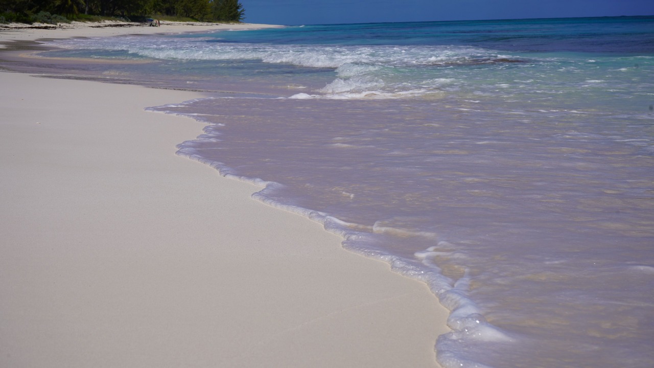 Photo of Others in North Palmetto Point
