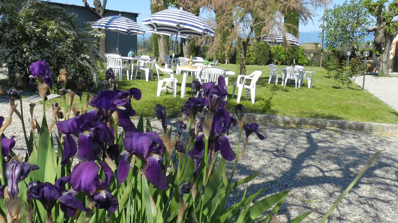 Photo of Outdoor in Vanon