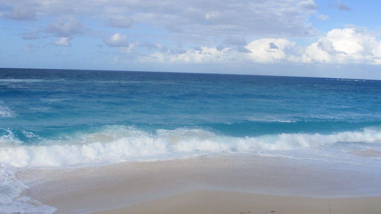 Photo of Others in Paradise Island