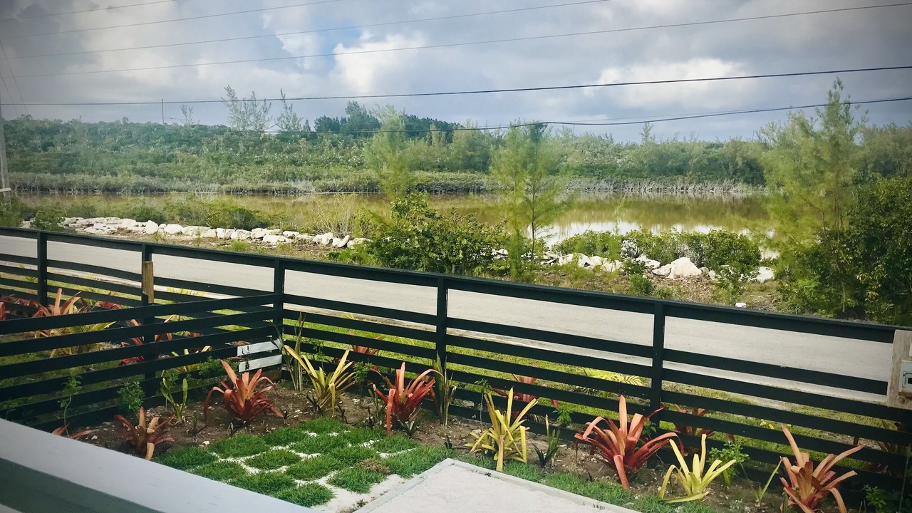 Photo of Outdoor in North Palmetto Point
