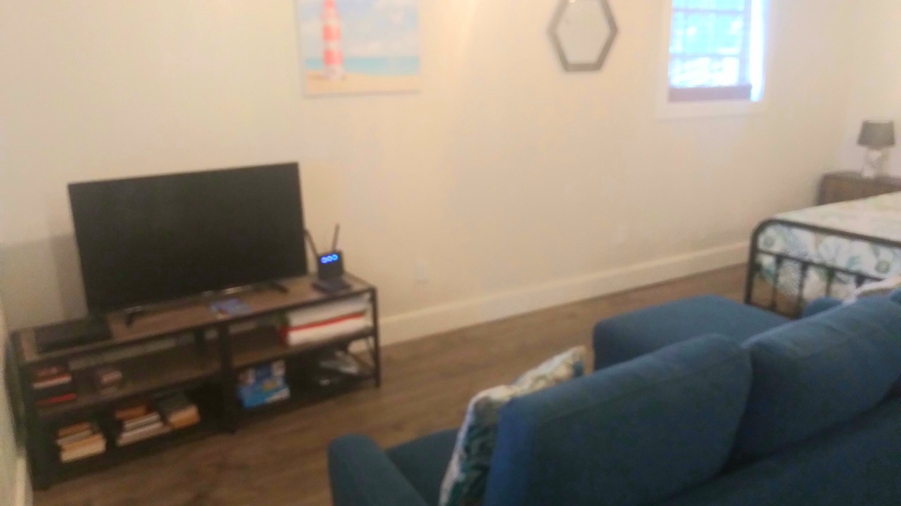 Photo of Livingroom in North Palmetto Point