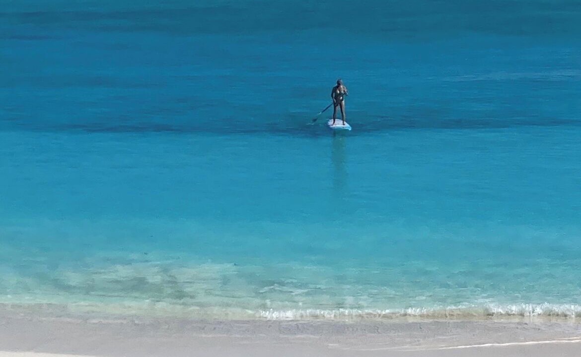 Photo of Others in Tar Bay