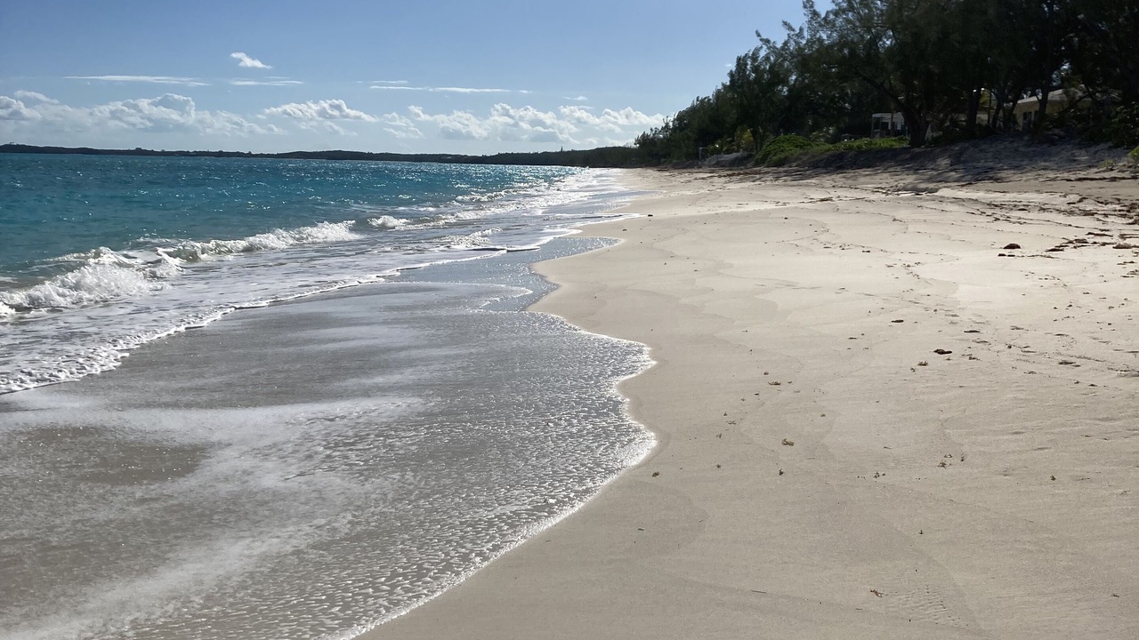 Photo of Others in Tar Bay