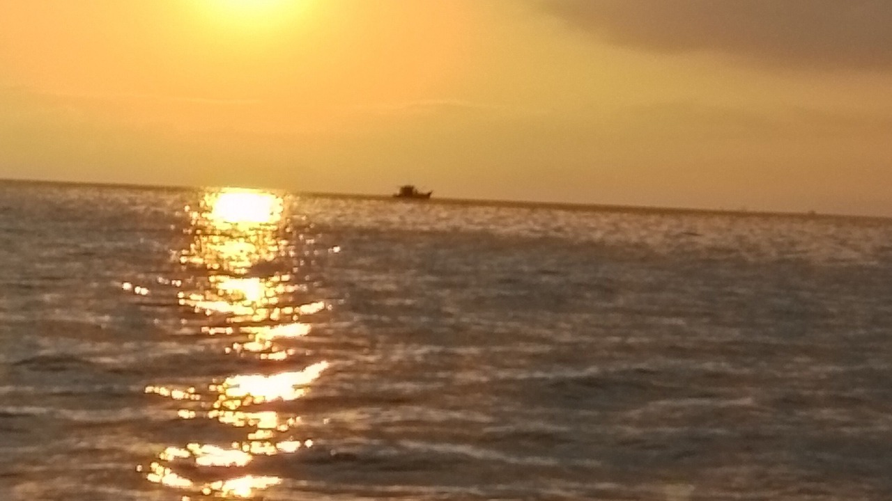 Photo of Others in Paraty