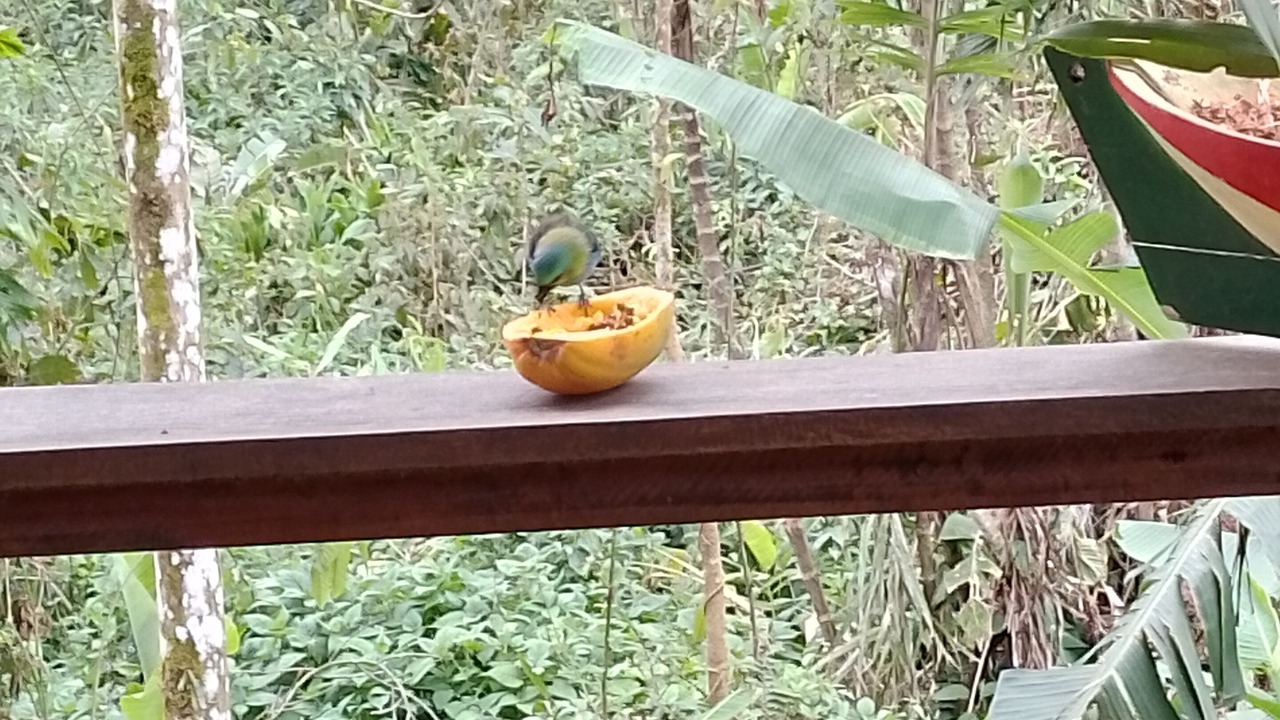 Photo of Outdoor in Paraty