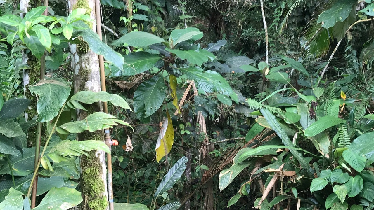 Photo of Outdoor in Paraty