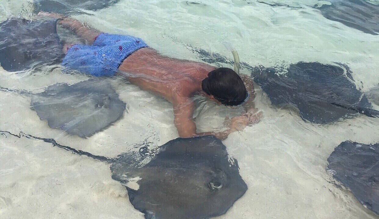 Photo of Others in South Bimini