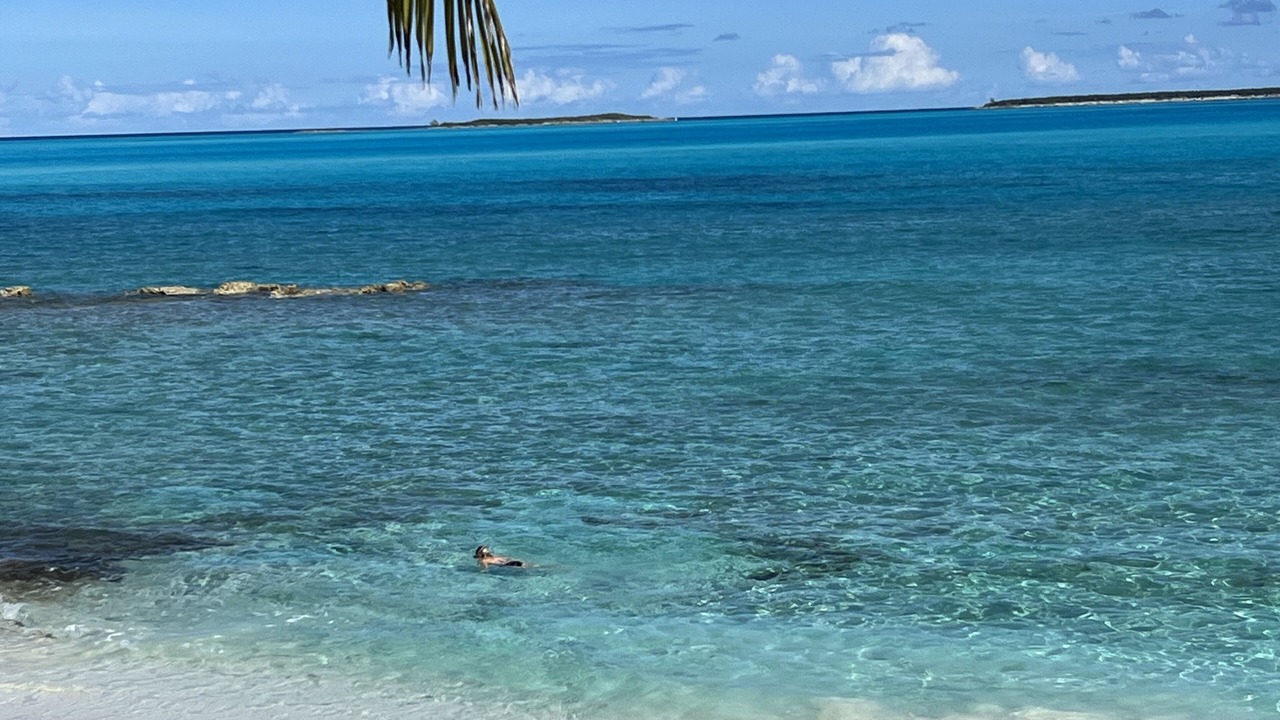 Photo of Others in Tar Bay