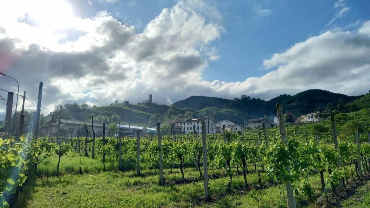 Photo of Others in Farra di Soligo