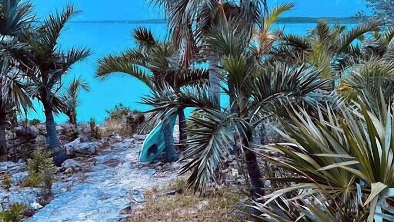 Photo of Others in South Palmetto Point