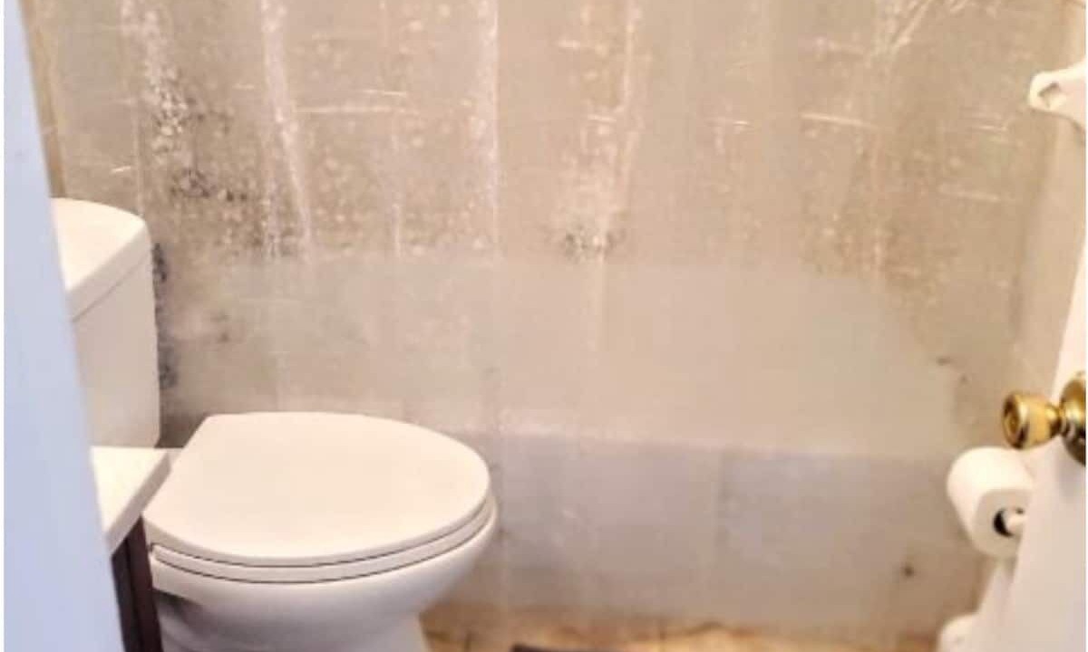 Photo of Bathroom in Queens