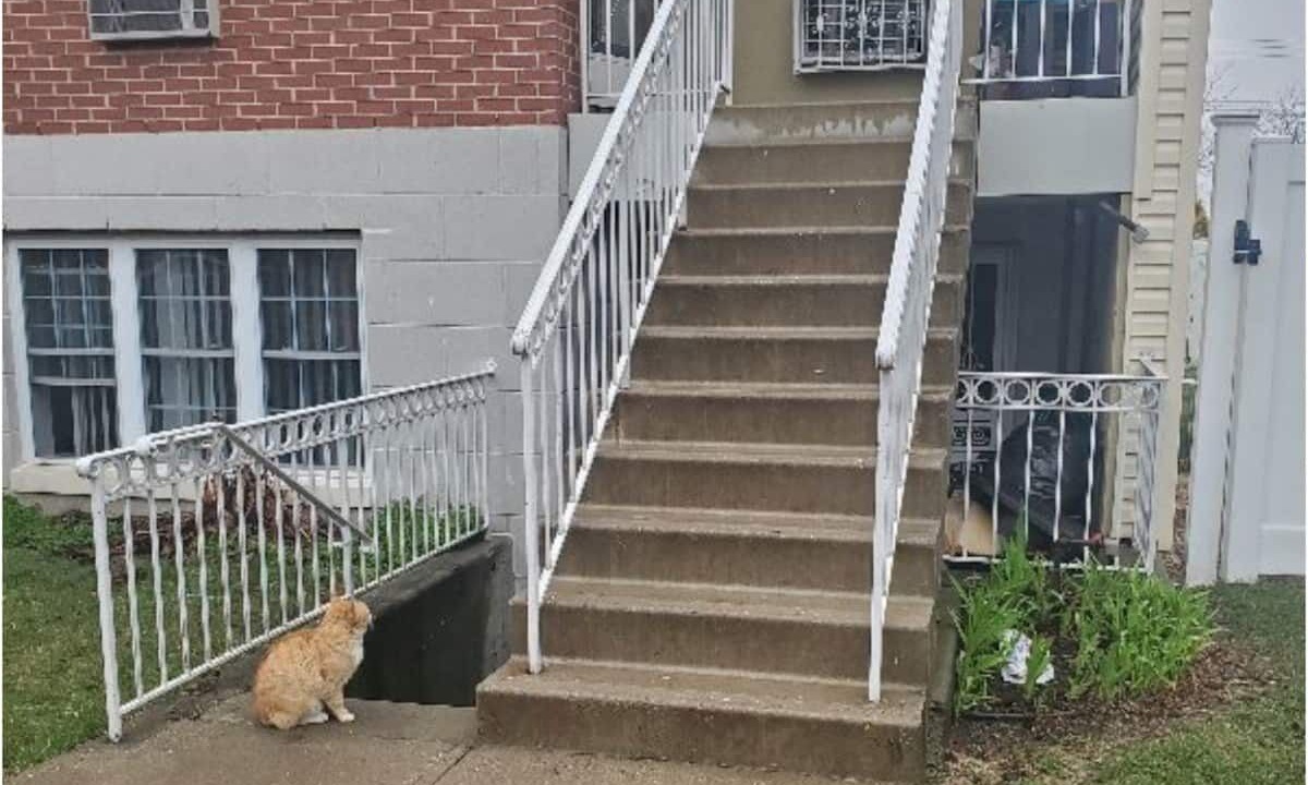 Photo of Outdoor in Queens