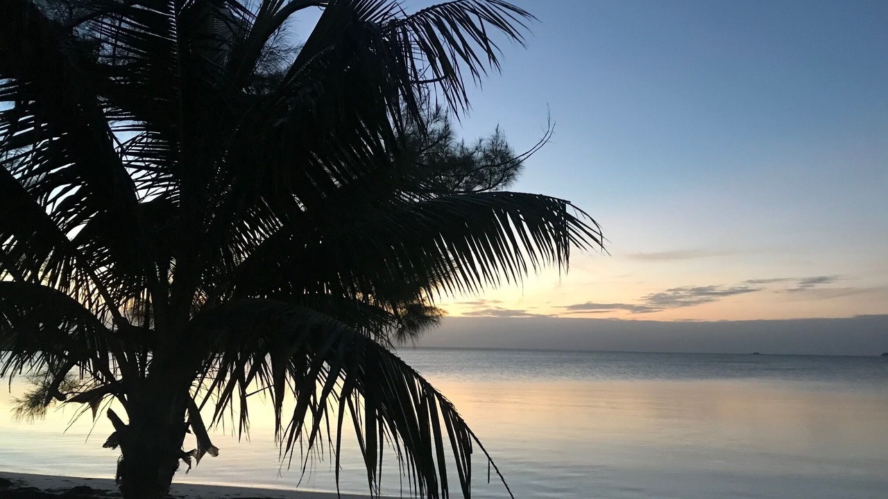 Photo of Others in Green Turtle Cay