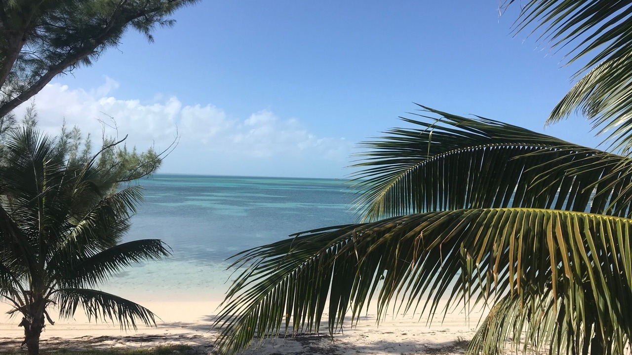 Photo of Outdoor in Green Turtle Cay