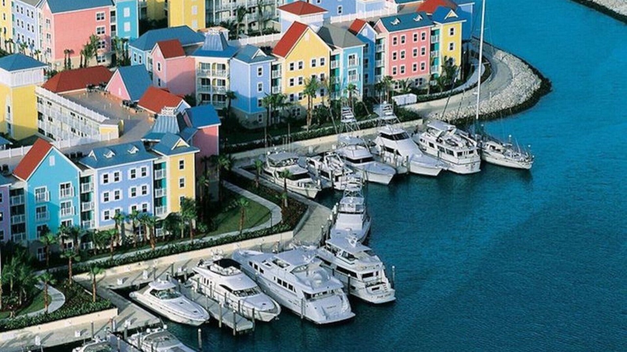 Photo of Others in Paradise Island