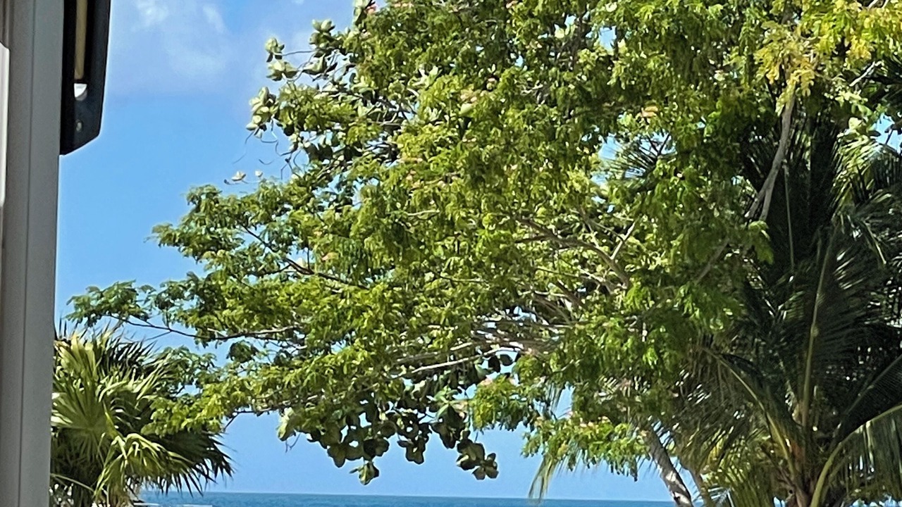 Photo of Others in Orange Bay