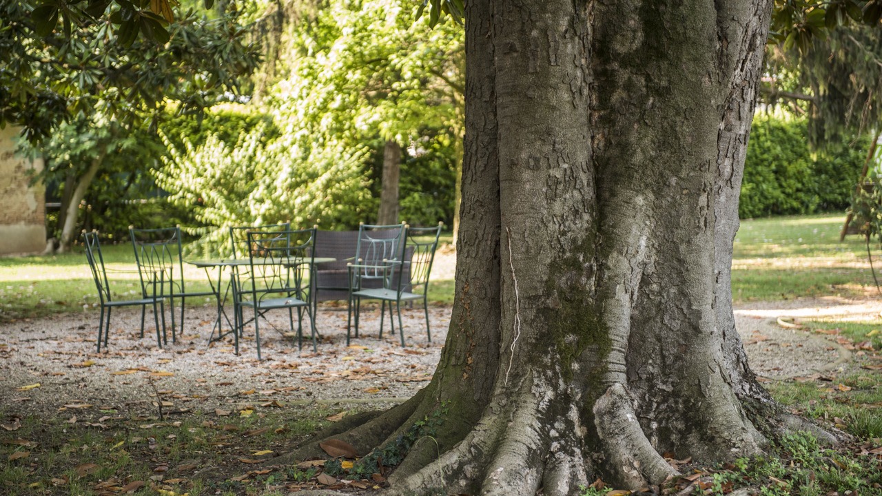 Photo of Outdoor in Nogarole Rocca