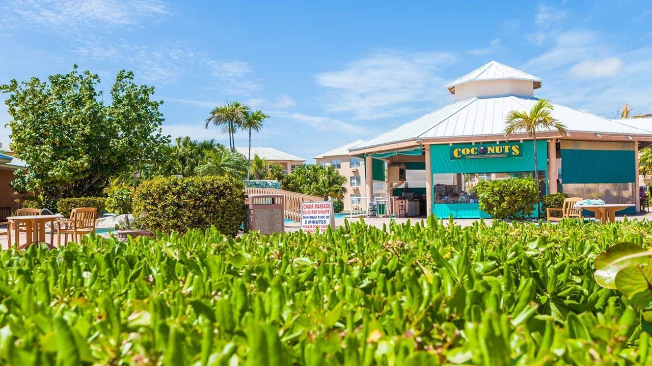 Photo of Outdoor in Williams Town