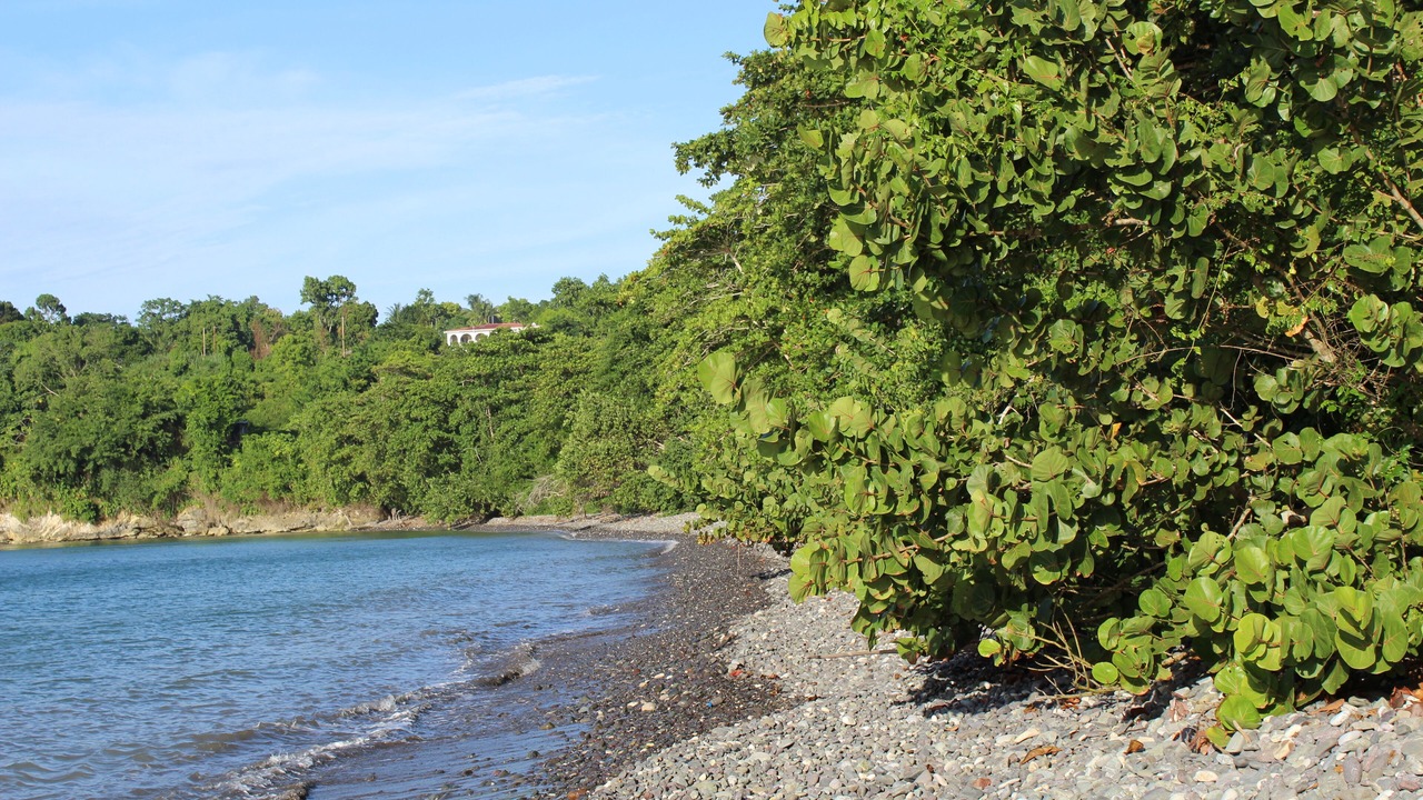 Photo of Others in Saint Margarets Bay