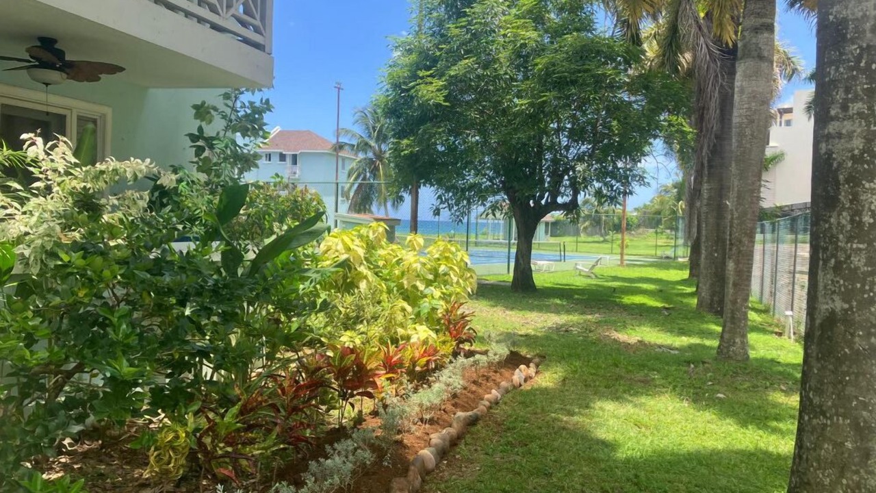 Photo of Outdoor in Orange Bay