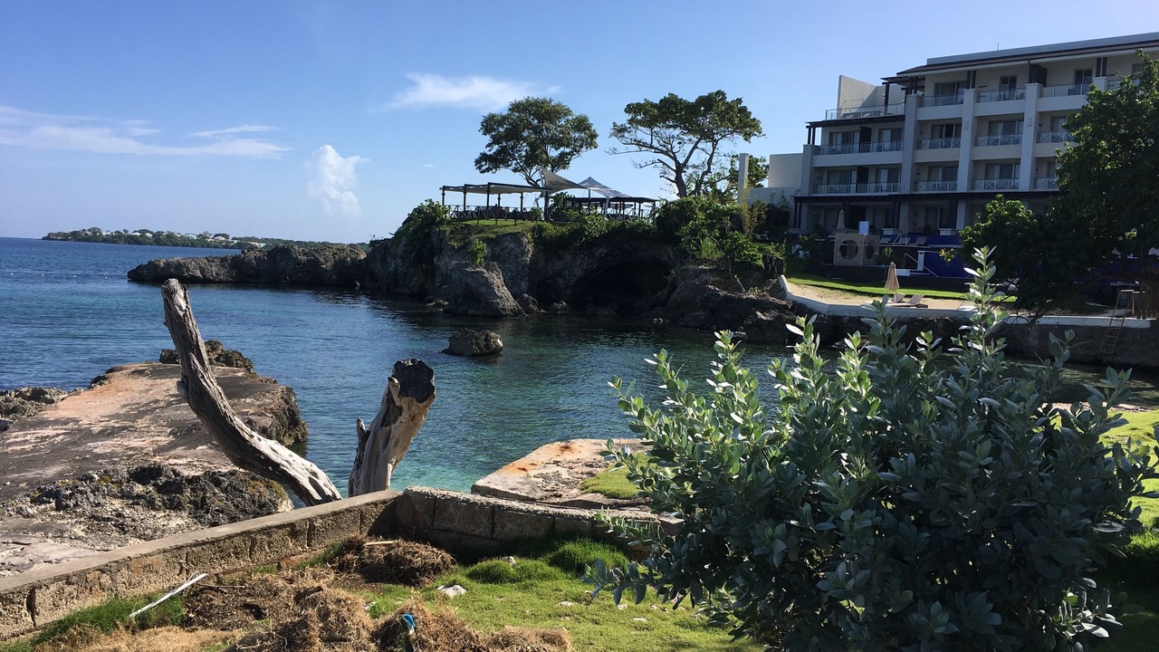 Photo of Others in Orange Bay