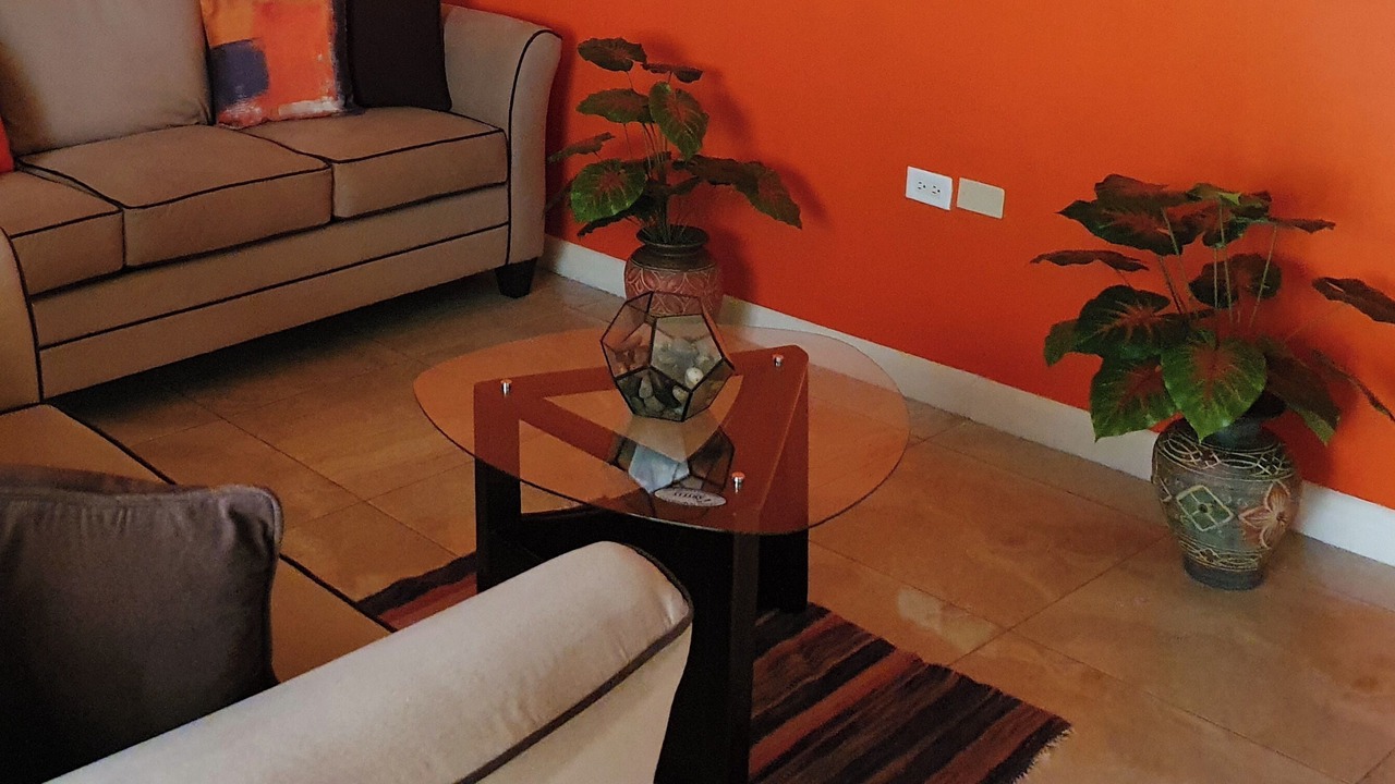 Photo of Bedroom in Portmore