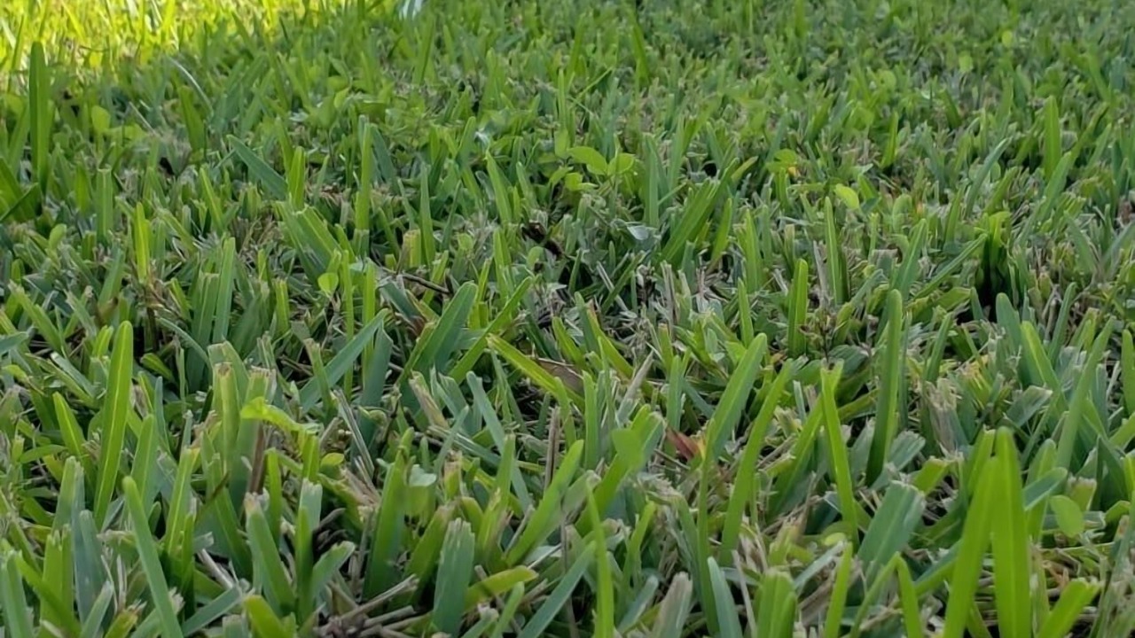 Photo of Outdoor in Nassau