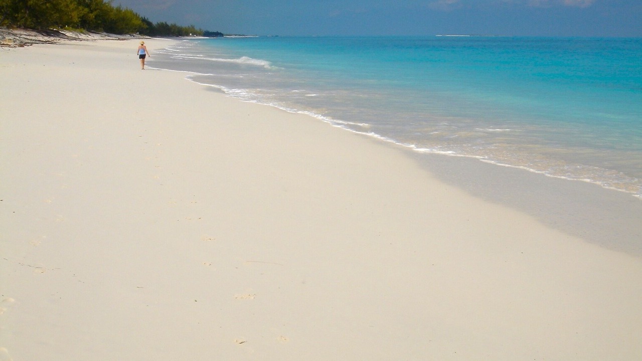 Photo of Others in Tar Bay