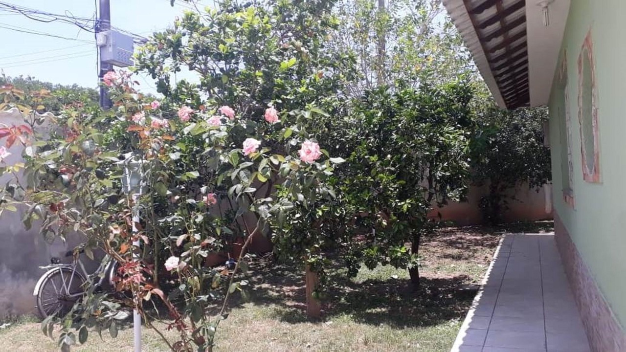 Photo of Outdoor in Sepetiba