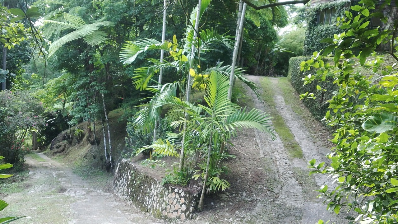 Photo of Outdoor in Mount James