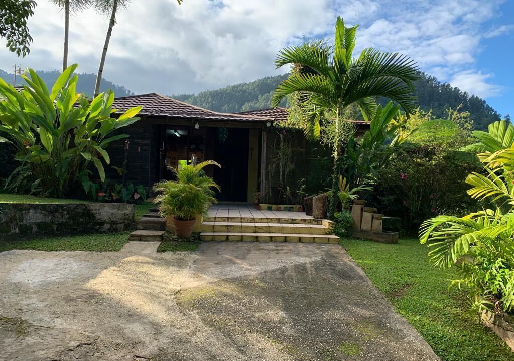 Photo of Outdoor in Mount James