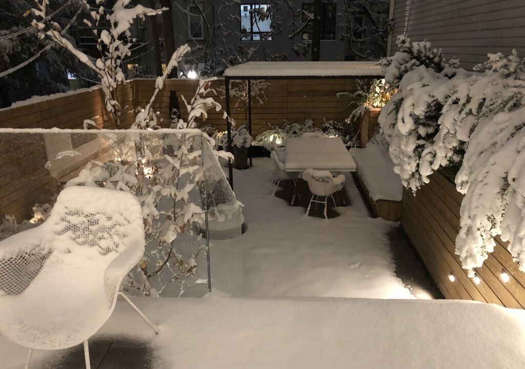 Photo of Patio Balcony in Greenpoint
