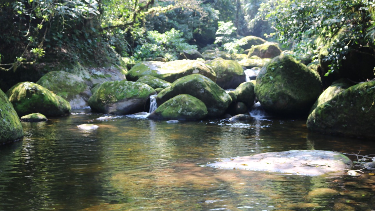 Photo of Others in Paraty