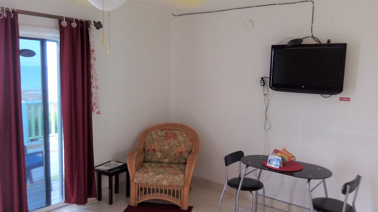 Photo of Livingroom in South Palmetto Point