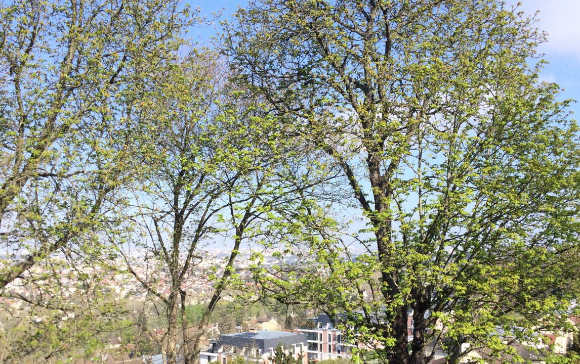 Photo of Others in Chennevieres-sur-Marne