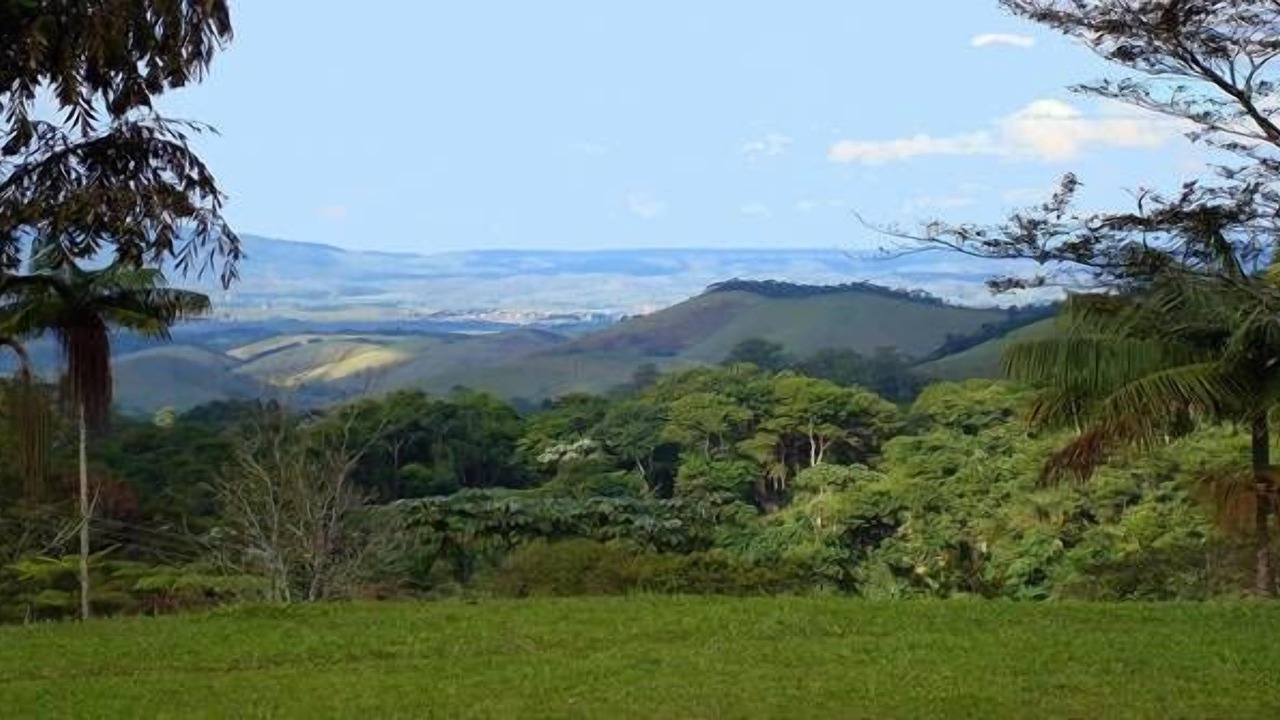 Photo of Others in Penedo