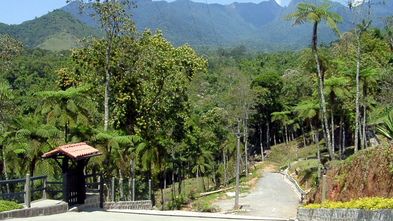 Photo of Outdoor in Penedo